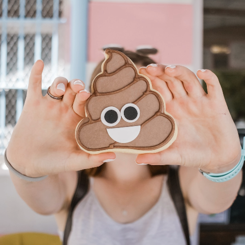 Keeping Yards Clean Best Tools for Poop Patrol